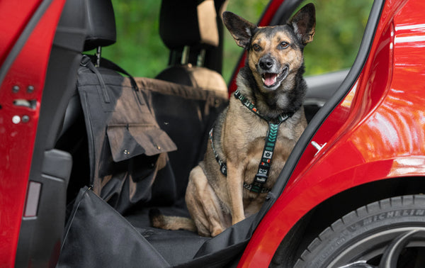 Mały obraz kolażu (góra)