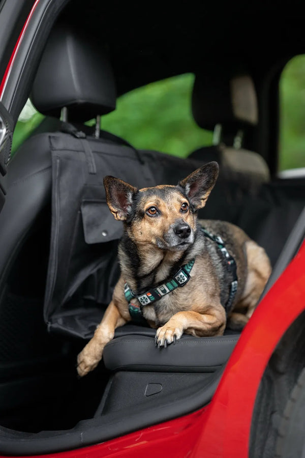 Mały obraz kolażu (dół)