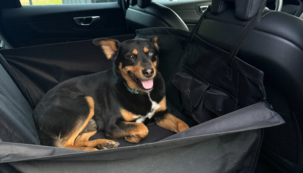 Mały obraz kolażu (dół)